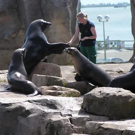 Wellness-ferienwohnung Strandperle شقة *